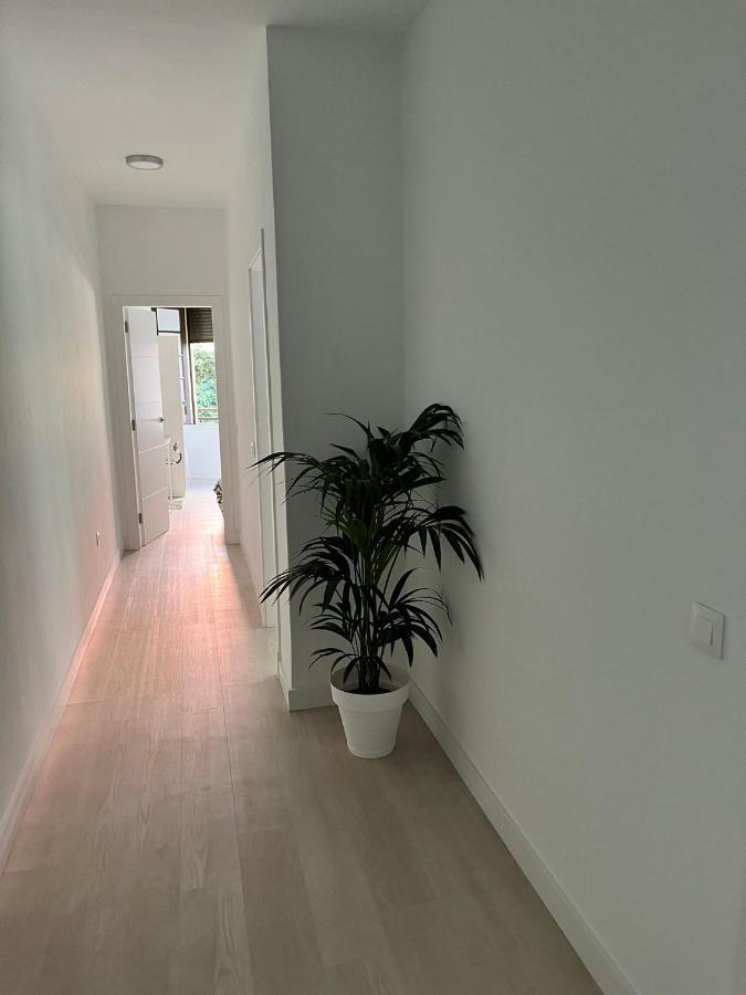 Tantulia Callao 57 Aptartamento 5Hab Centro De La Capital En Tenerife Santa Cruz de Tenerife Ngoại thất bức ảnh